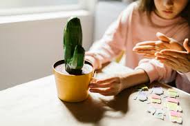 Graphic Designing Course in Malappuram